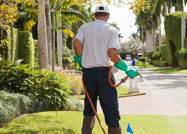 About River Ranch FL Pest Control Pros